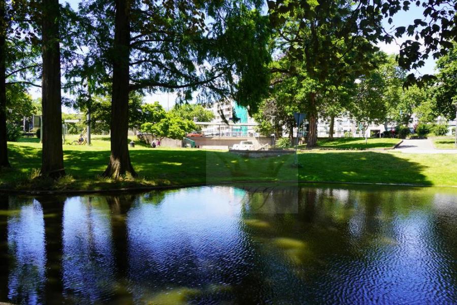 Teilblick Parkanlage mit Teich3
