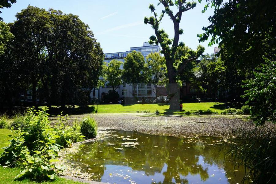 Teilblick Parkanlage mit Teich4