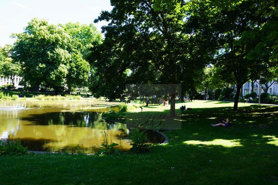 Teilblick Parkanlage mit Teich1