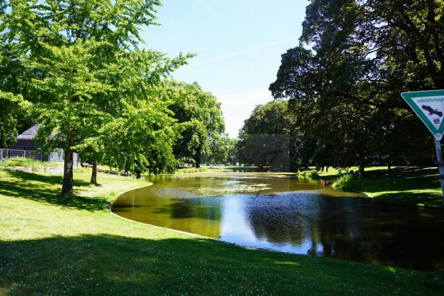 Park- und Spielanlage mit Teilblick Teich