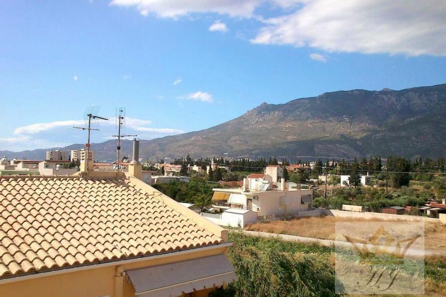 Panoramablick von der Dachterasse