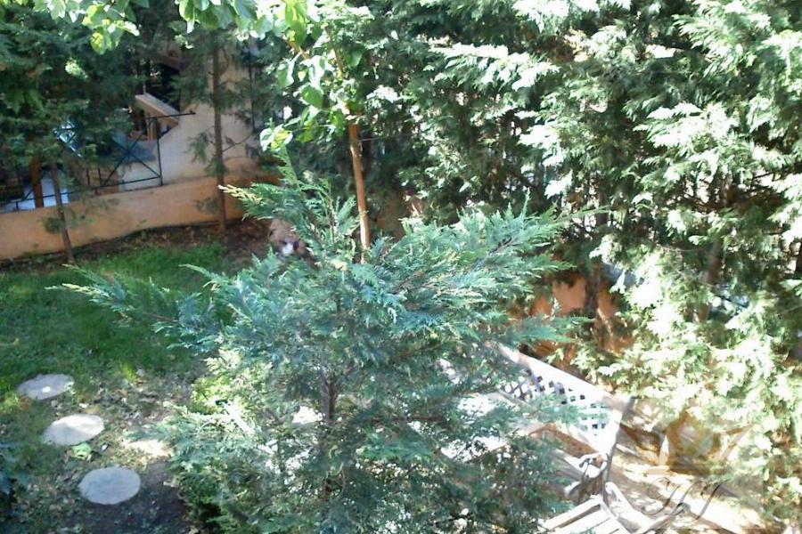 Teilblick in den Garten