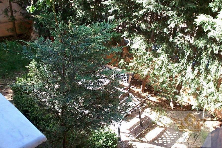 Teilblick in den Garten 1