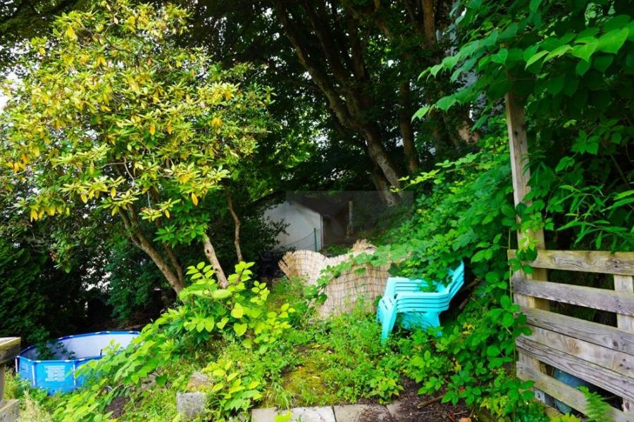 Teilblick rückwärtiger Garten1