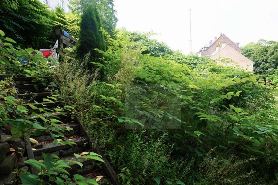 Teilblick Garten mit Treppe