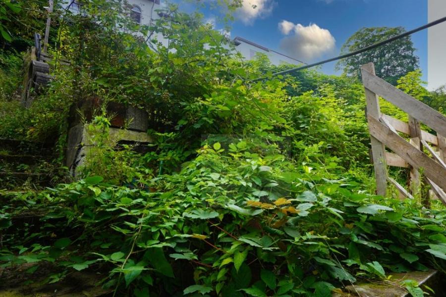 Teilblick rückwärtiger Garten