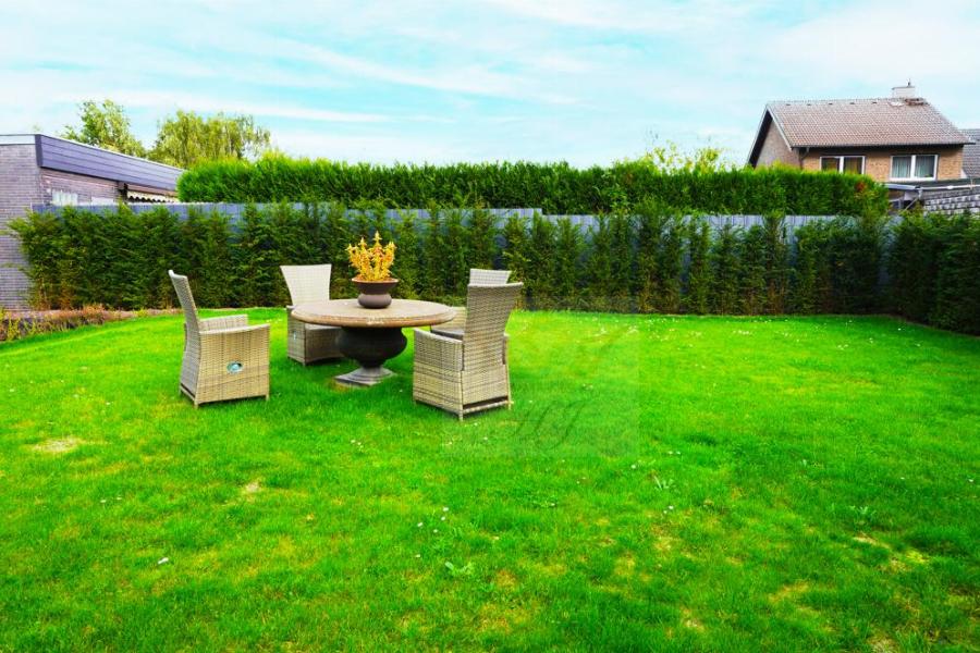 Teilblick Garten