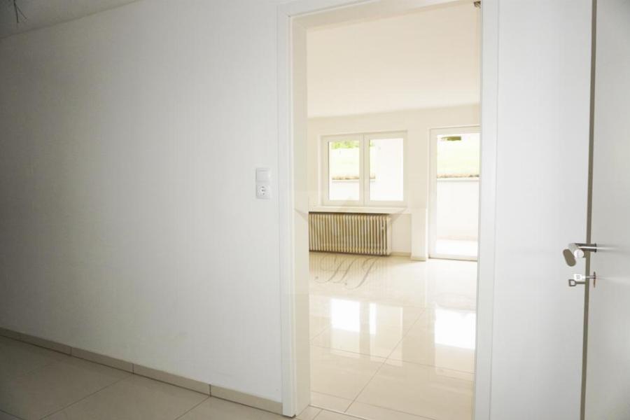 Zugang große Souterrain Wohnung