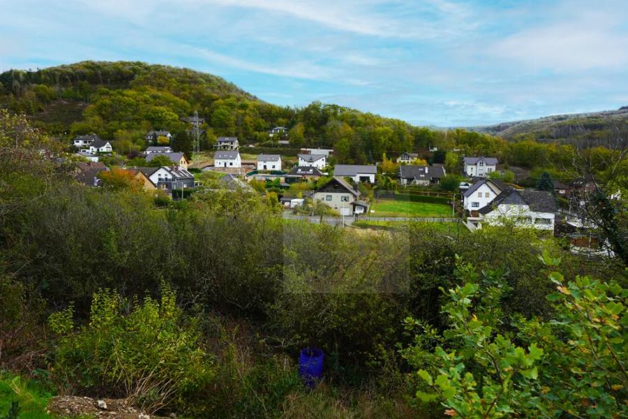 Unverbaubarer Blick 1