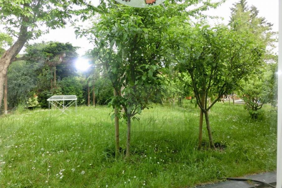 Blick aus dem Wohnzimmer in den Garten