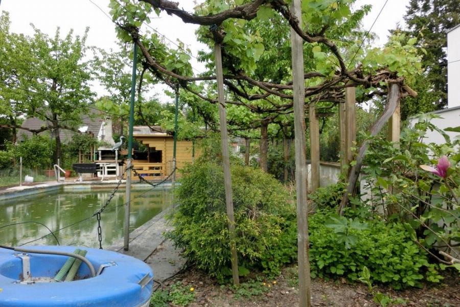 Fischteich zur Fischaufzucht