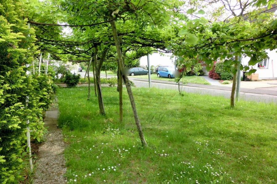 Vorgarten
