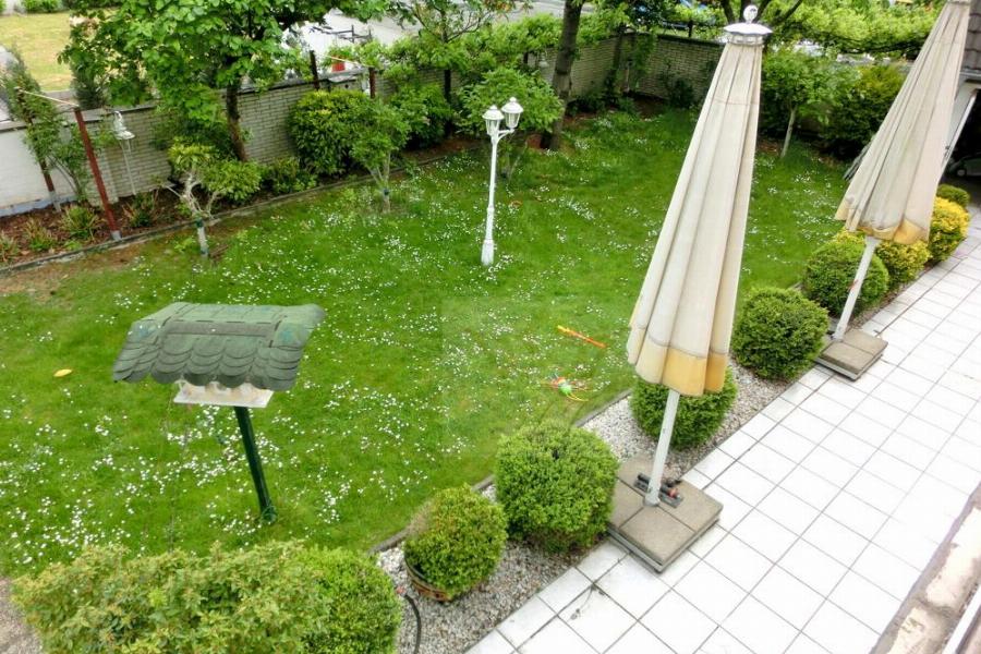 Blick auf den Garten mit gewachsenem Baumbestand von der Terrasse im OG