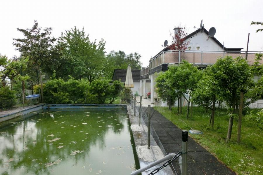 Blick aus dem hinteren Gartenbereich