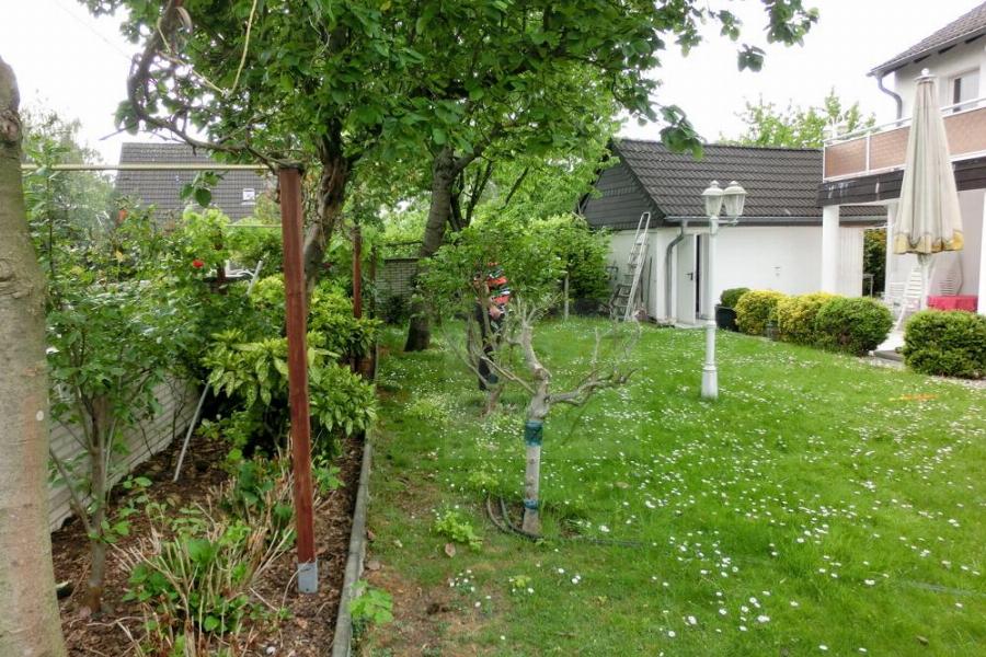 Teilblick Garten mit Bestandsbäumen