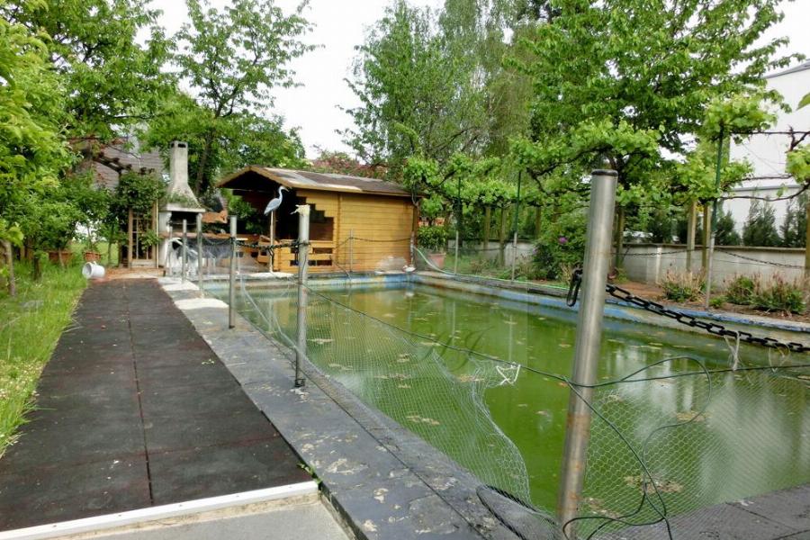 Fischteich im Garten