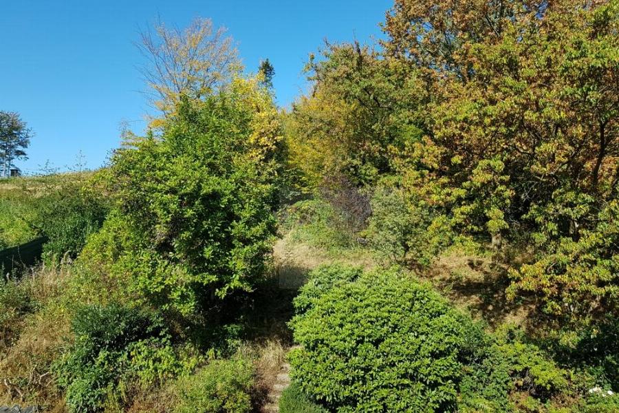Blick aus dem Küchenfenster