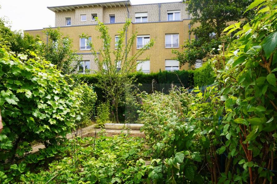 Blick von der Garage auf Nutzgarten mit Süd-Ausrichtung