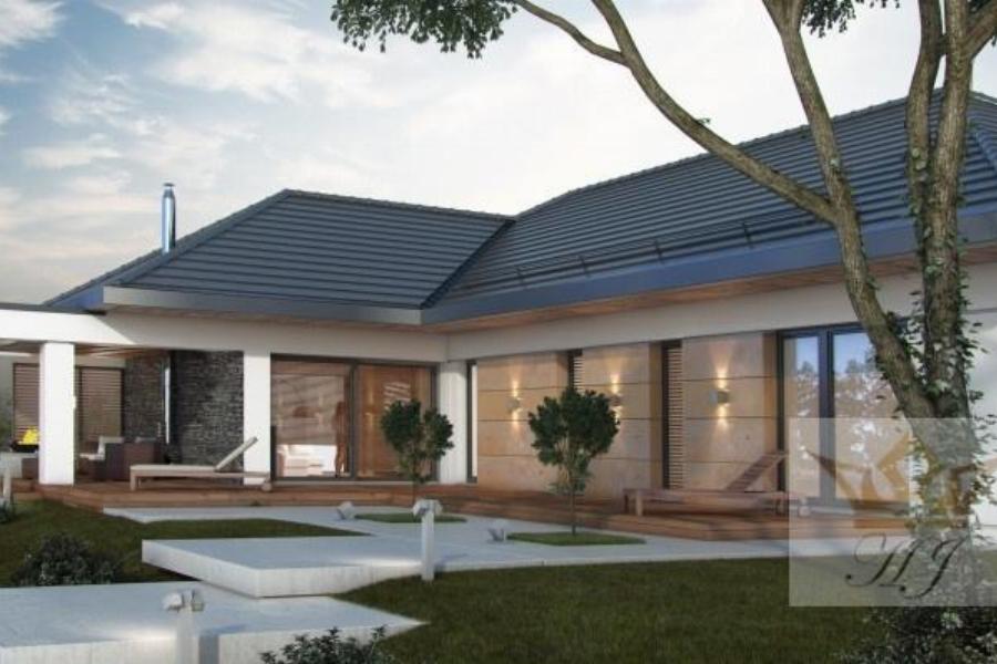 Haus Miami - Rückwärtige Hausansicht aus dem Garten und Terrasse und möglichem Swimmingpool_Visualis