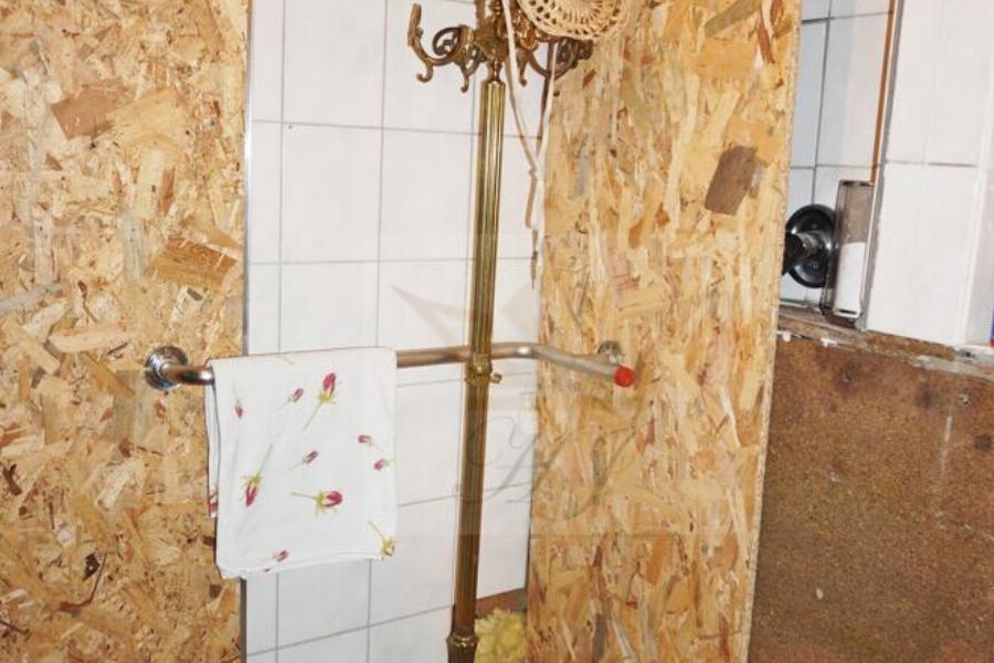 Teilblick Tageslicht Duschbad im EG vom Hinterhaus